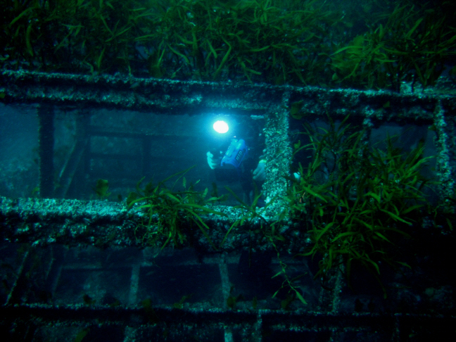 101216_aquacamp211136.jpg