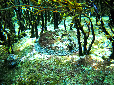 110228_aquacamp193158.JPG