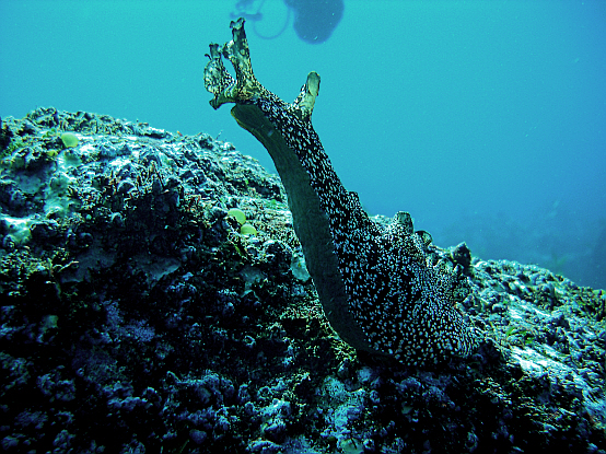 110228_aquacamp193330.JPG