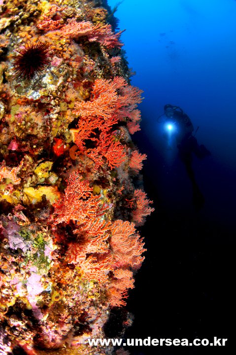 110425_aquacamp144121.jpg