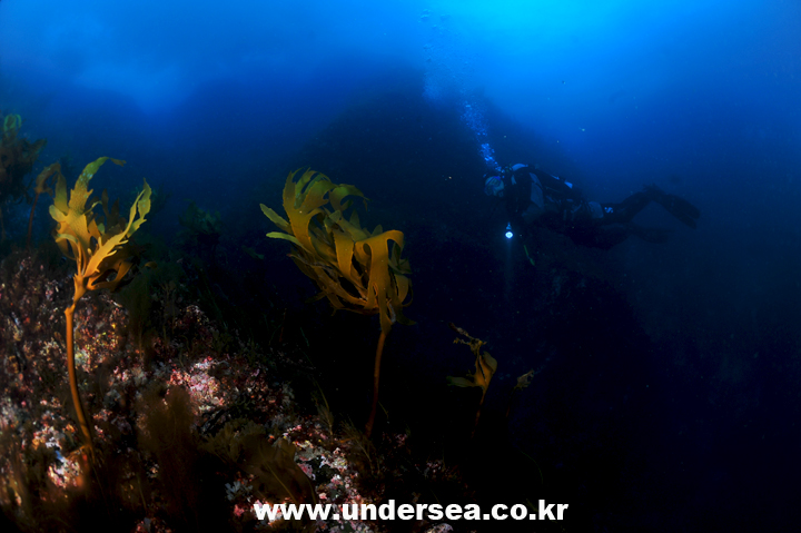 110426_aquacamp133455.jpg