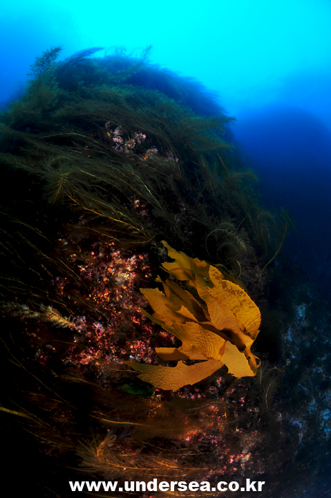 110426_aquacamp133545.jpg