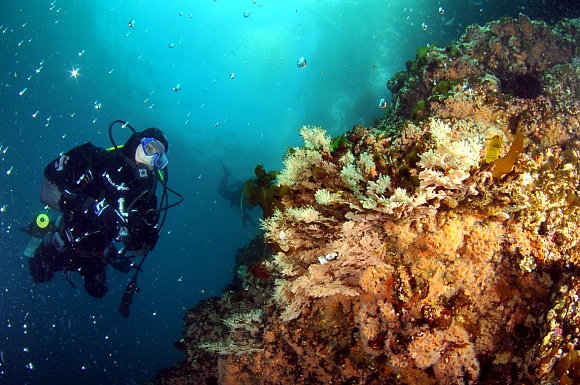 110609_aquacamp140118.jpg