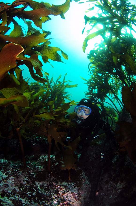 110609_aquacamp140346.jpg