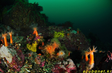 131209_aquacamp182809.jpg