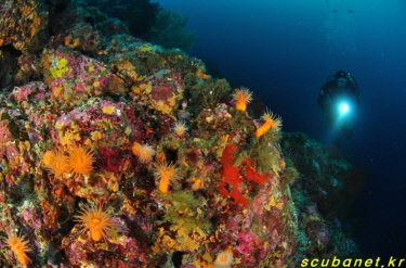 131209_aquacamp182836.jpg