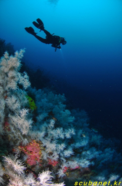 131209_aquacamp182902.jpg