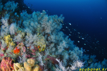 131209_aquacamp182943.jpg